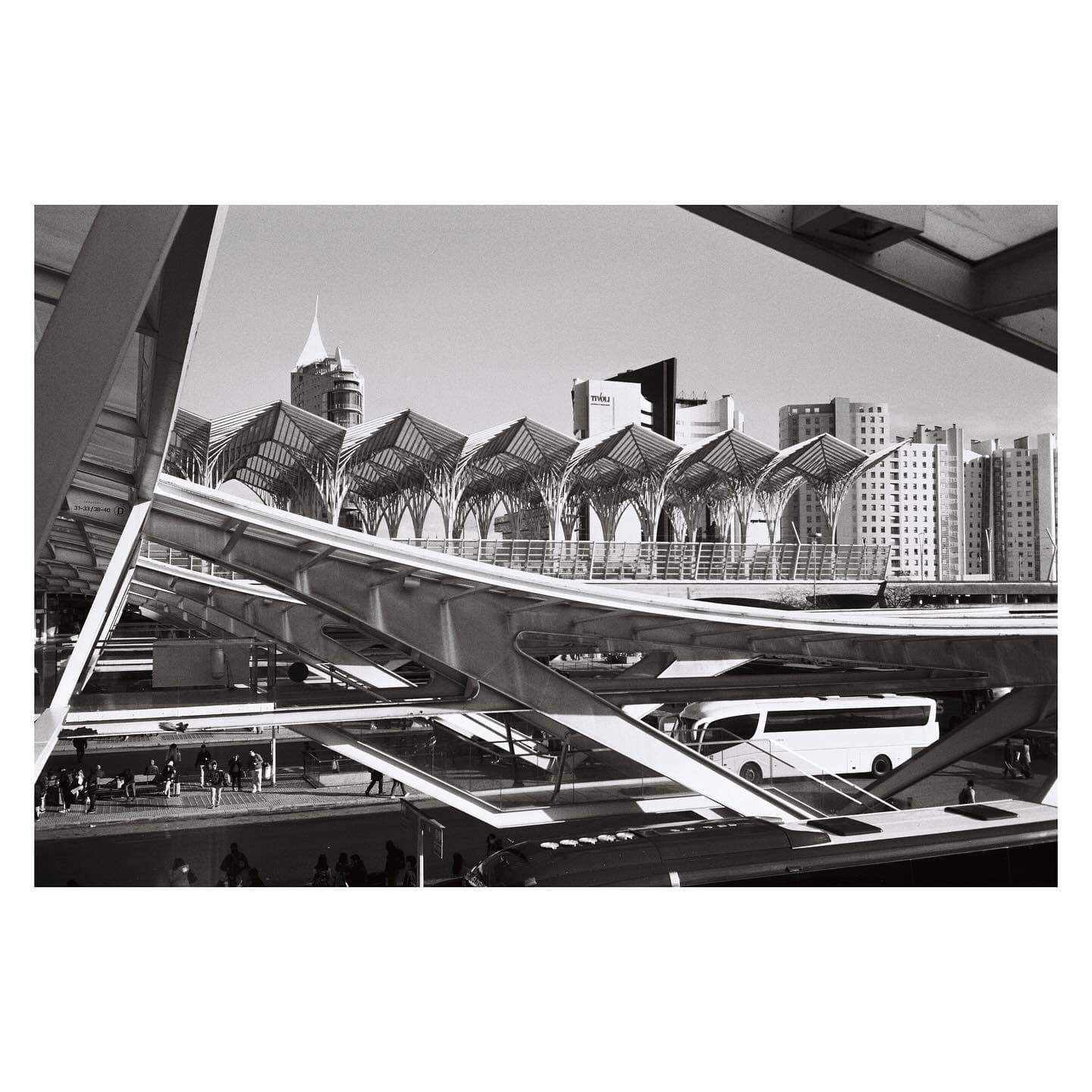 mju2
Ilford delta 100
developing by @maquinasdeoutrostempos